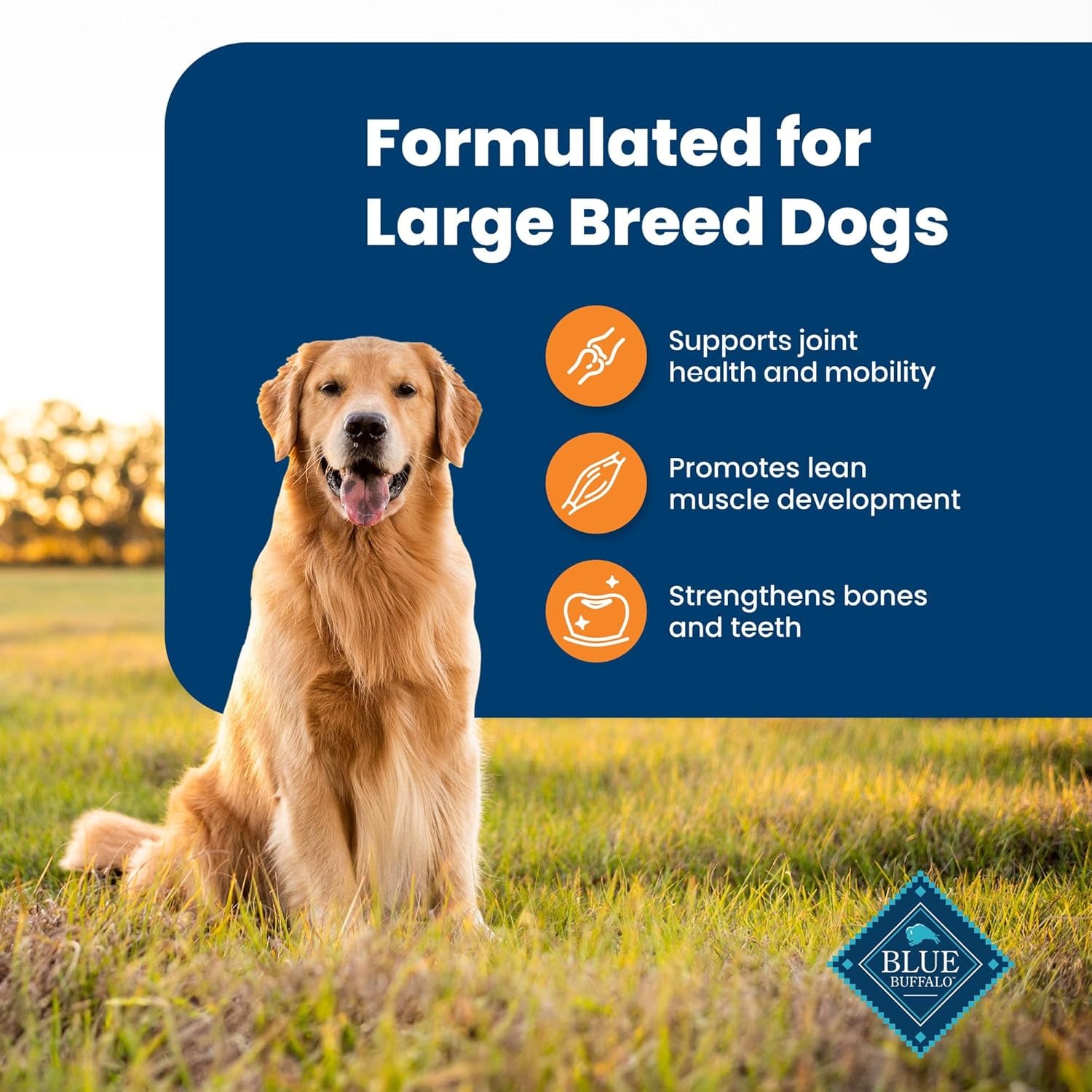 Life Protection Formula Large Breed Adult Dry Dog Food, Promotes Joint Health and Lean Muscles, Made with Natural Ingredients, Chicken & Brown Rice Recipe, 30-Lb Bag